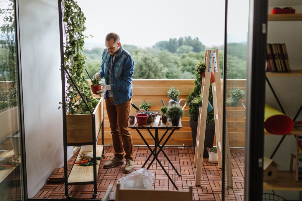 Balcony pot plant